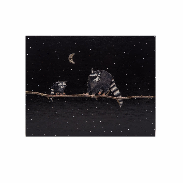 Raccoon #106