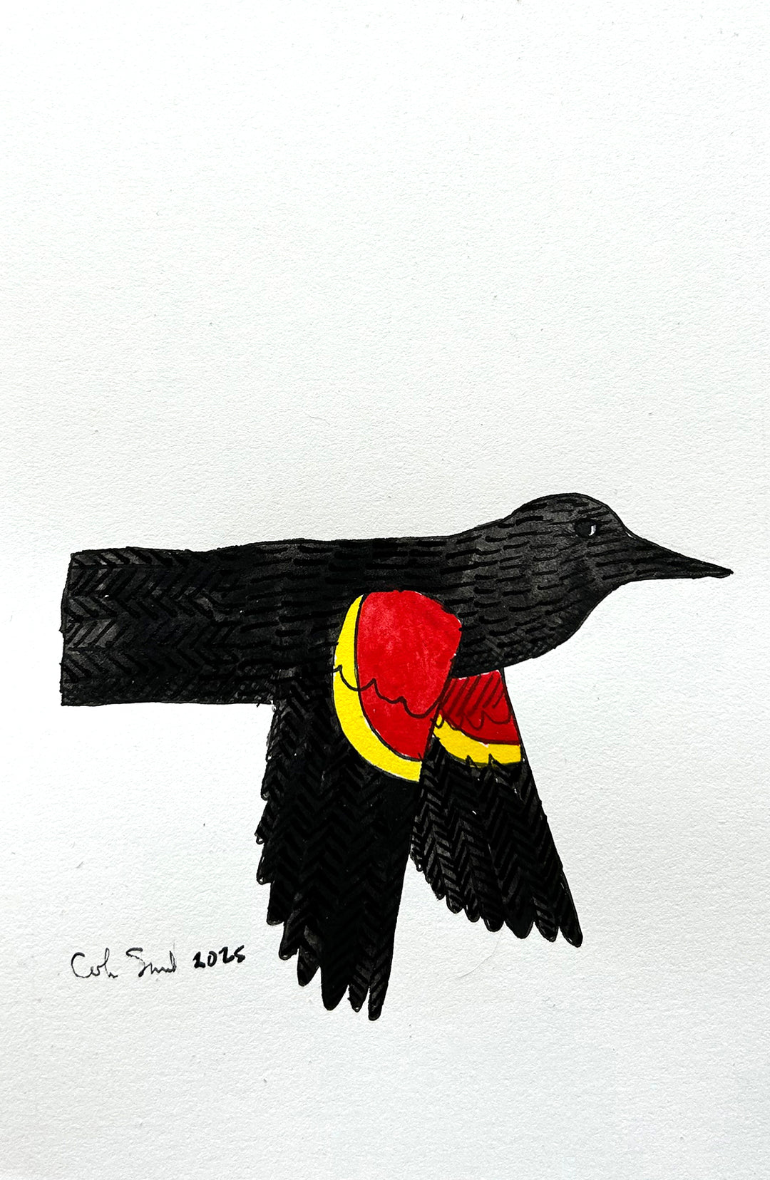 Red Winged Blackbird 2 | Inks on Paper by Colin Smith