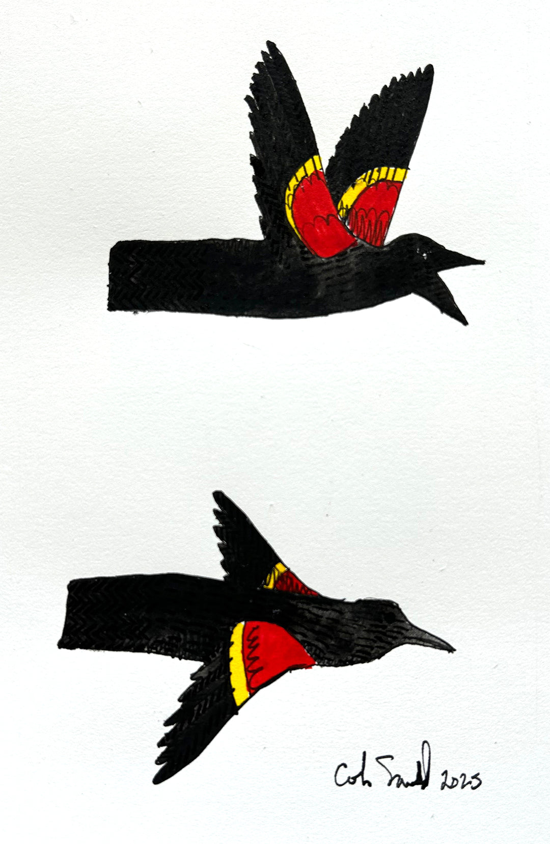 Red Winged Blackbird 4 | Inks on Paper by Colin Smith