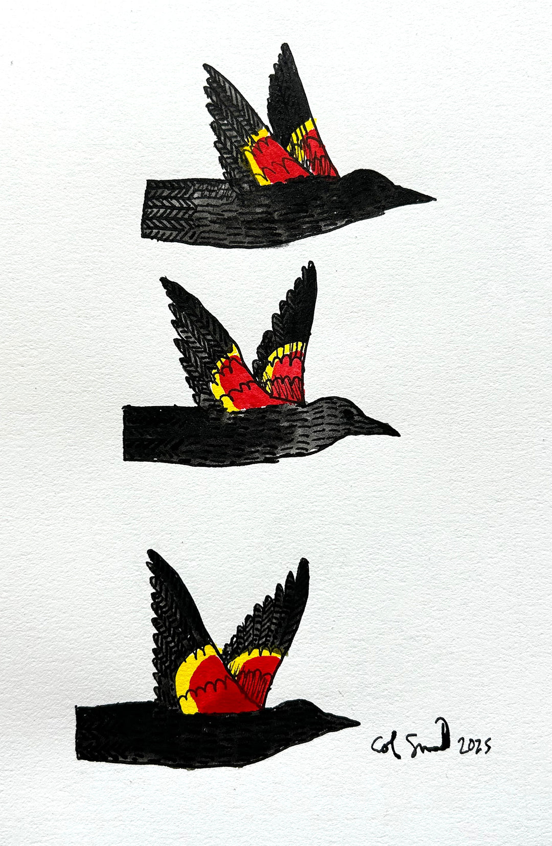 Red Winged Blackbird 6 | Inks on Paper by Colin Smith