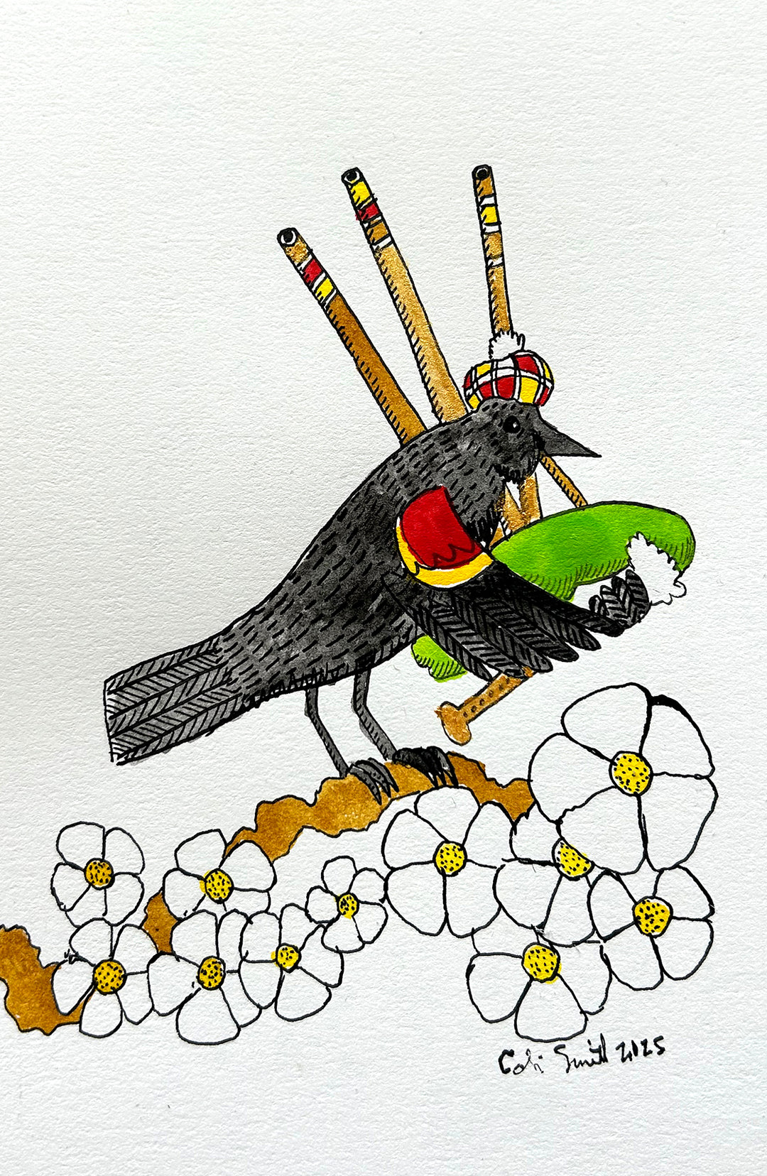 Red Winged Blackbird 8 | Inks on Paper by Colin Smith
