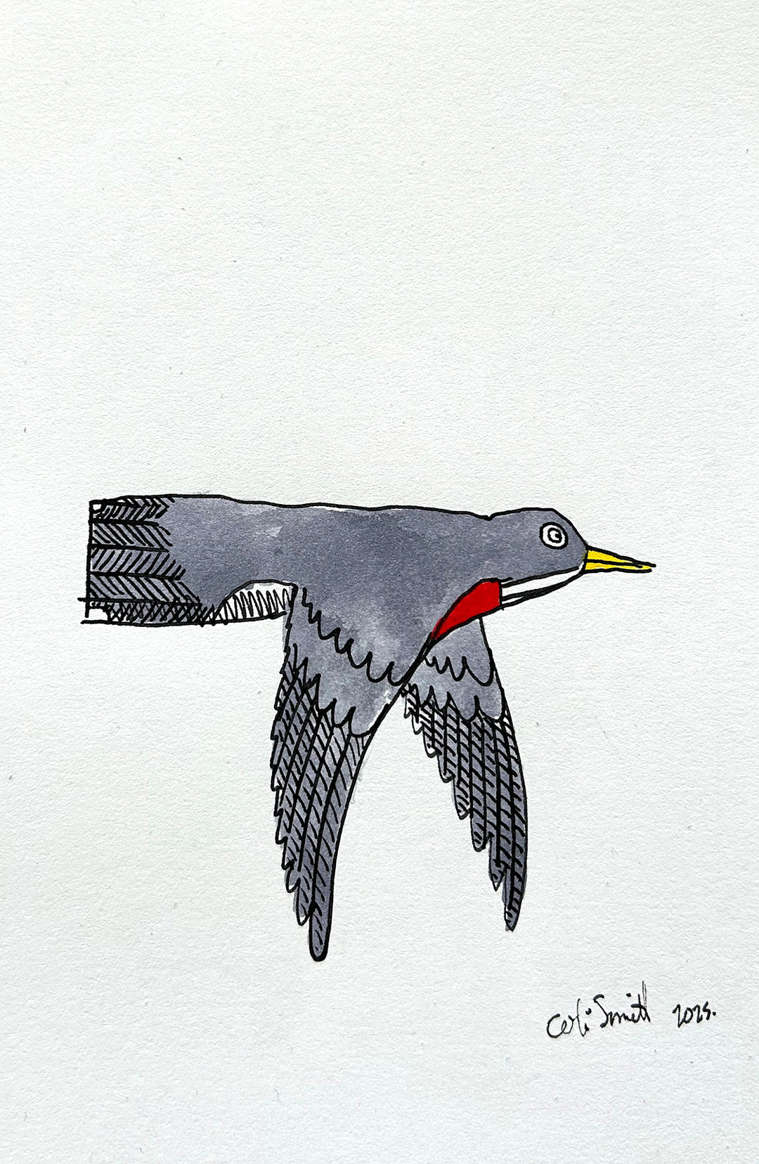 Robin 1 | Inks on Paper by Colin Smith