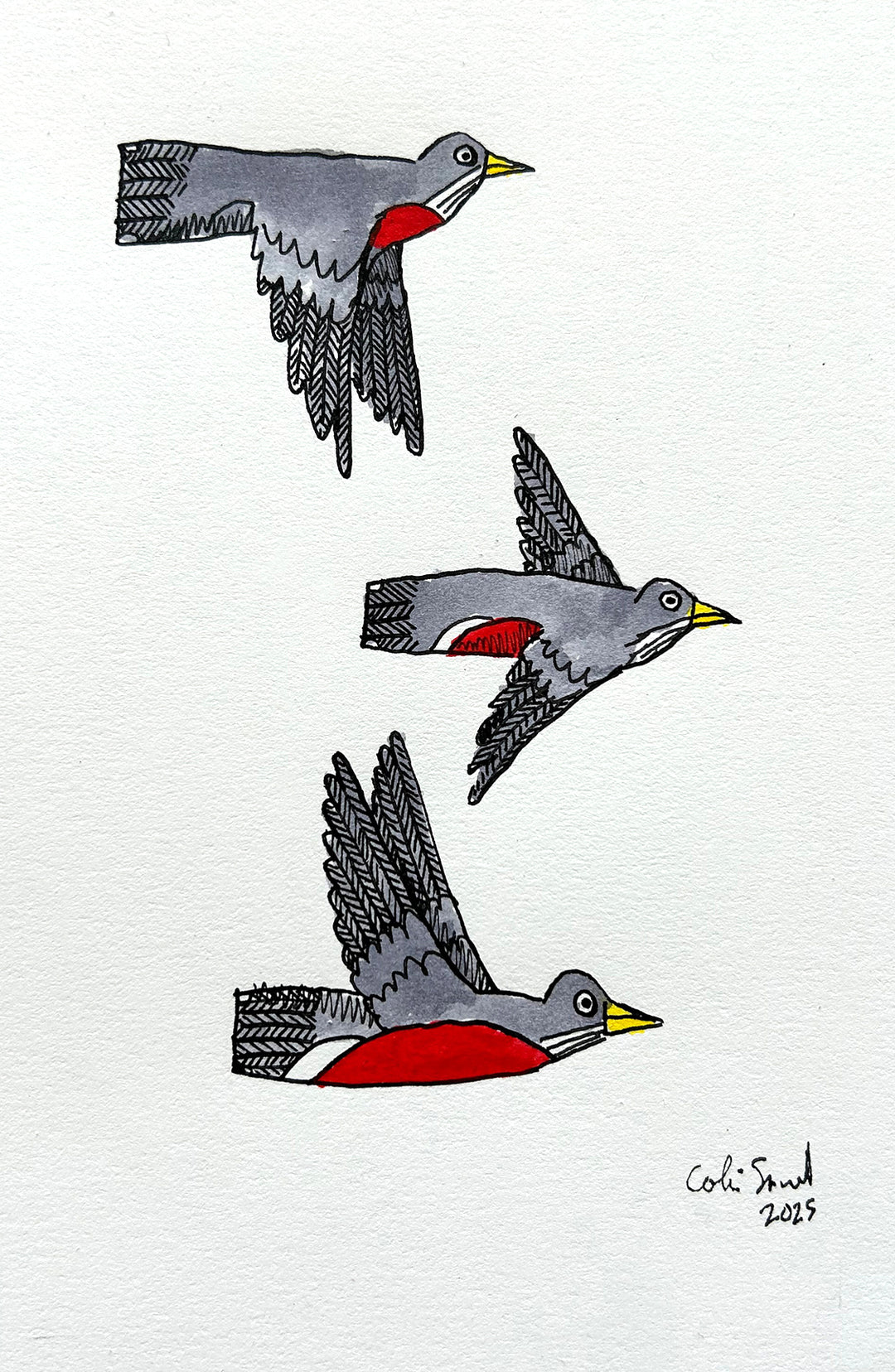 Robin 4 | Inks on Paper by Colin Smith