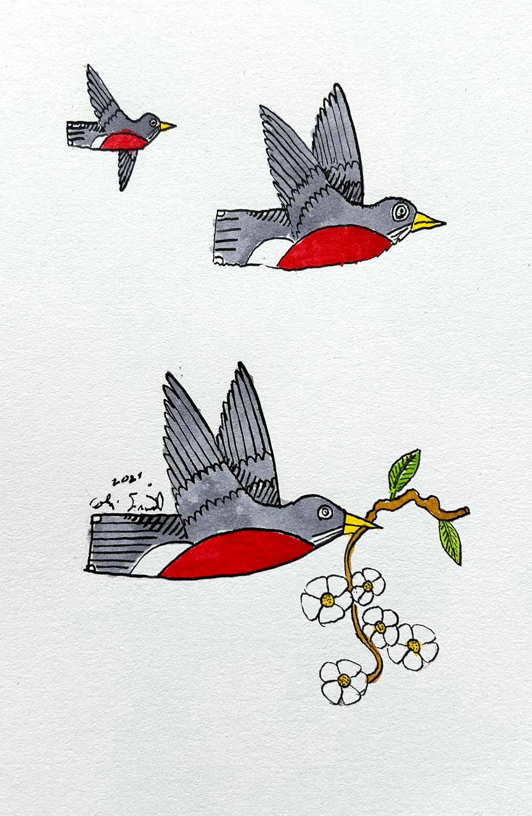 Robin 5 | Inks on Paper by Colin Smith