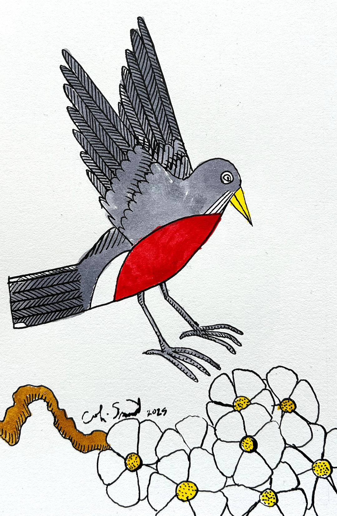 Robin 6 | Inks on Paper by Colin Smith