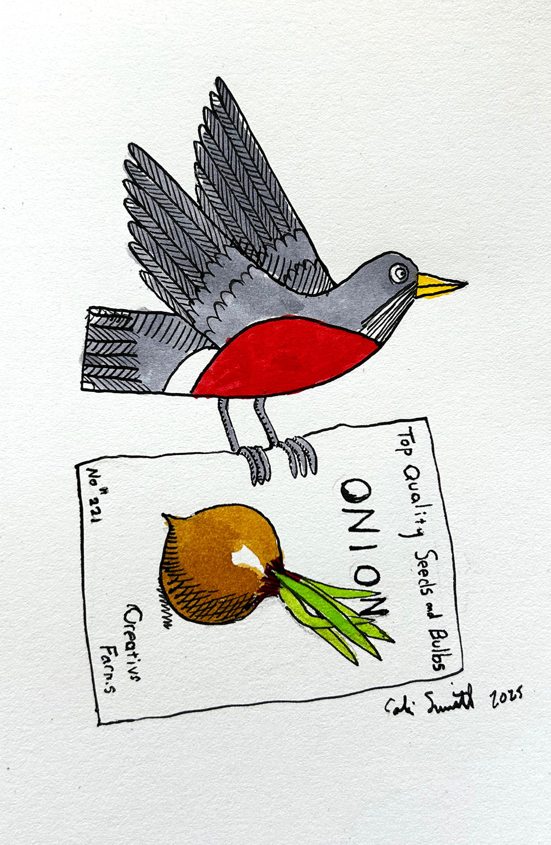 Robin 8 | Inks on Paper by Colin Smith