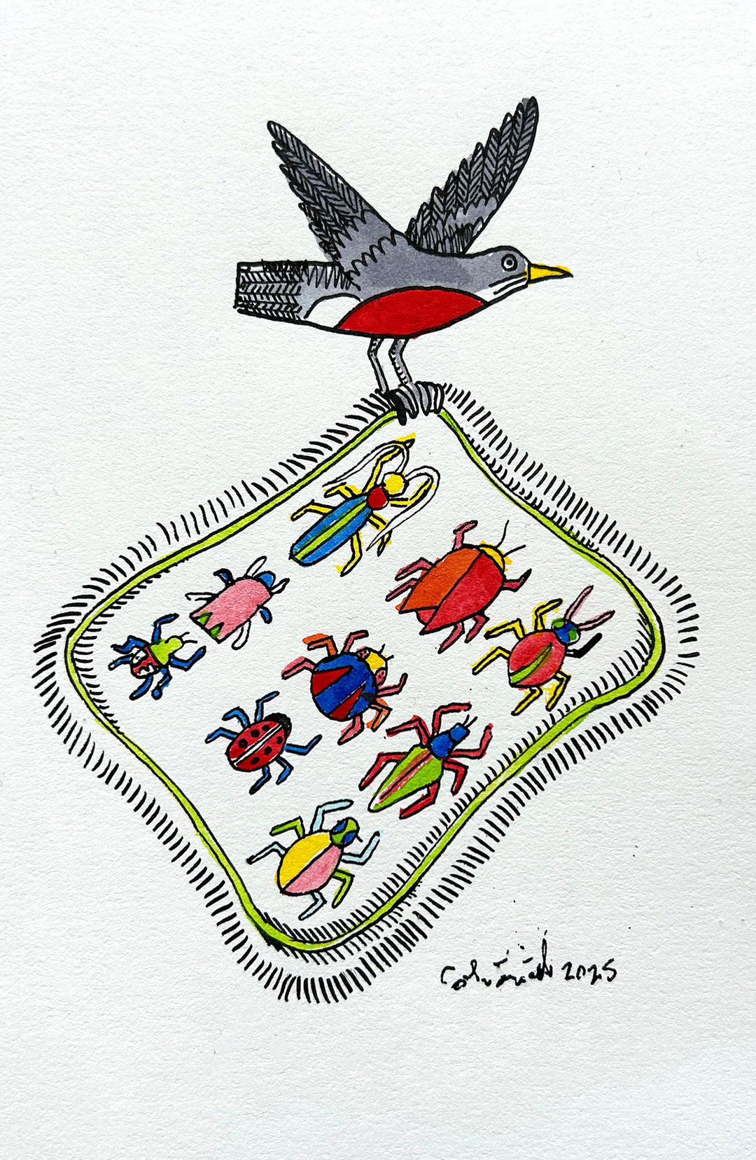 Robin 9 | Inks on Paper by Colin Smith