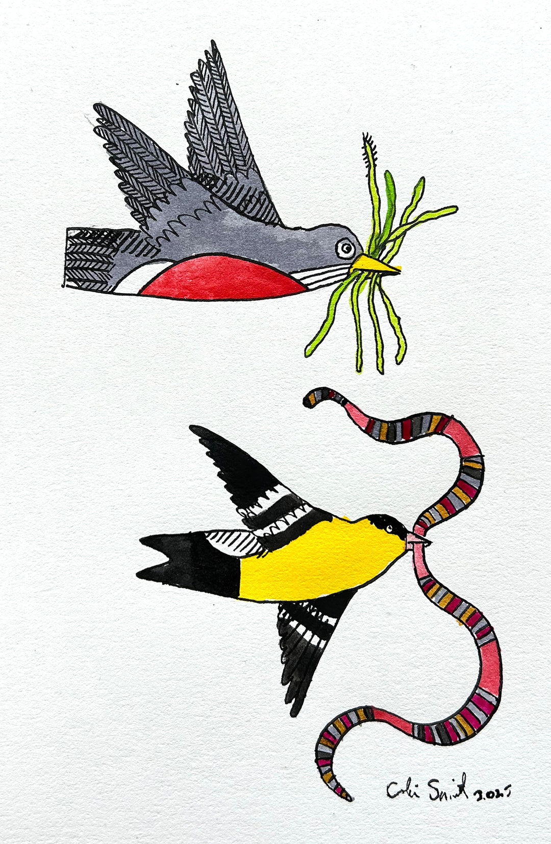 Robin and Goldfinch 1 | Inks on Paper by Colin Smith
