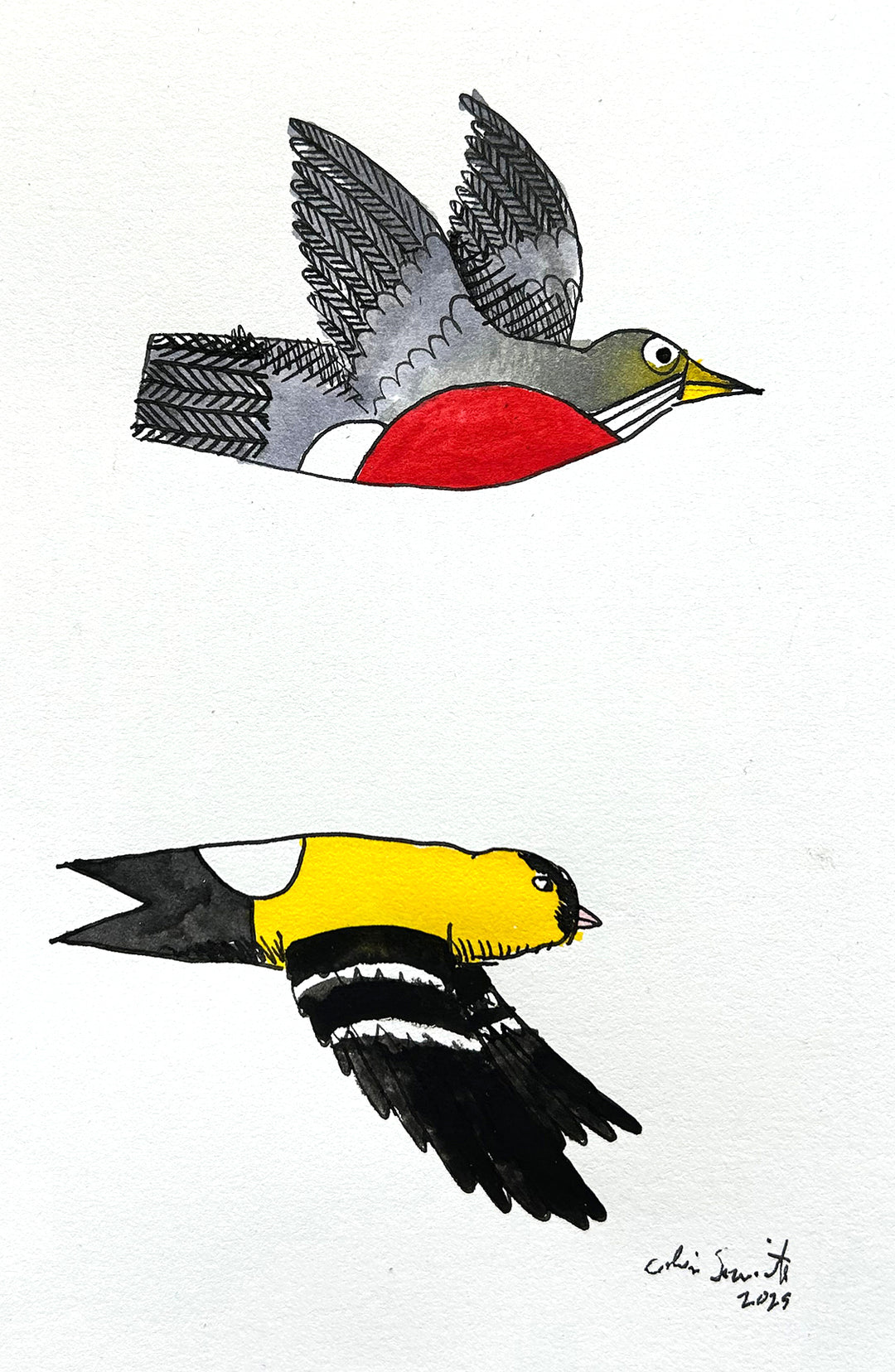 Robin and Goldfinch 2 | Inks on Paper by Colin Smith