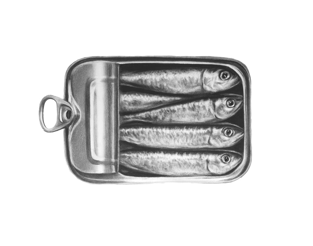 Sardines