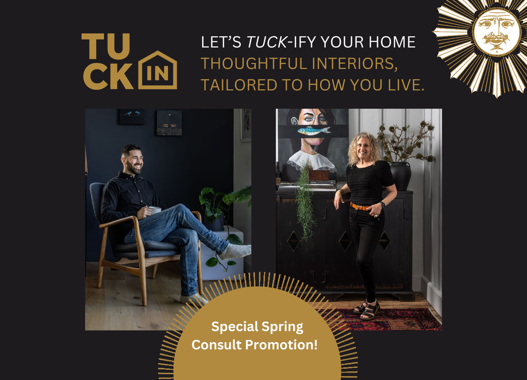 1 Hour In-Home Consult