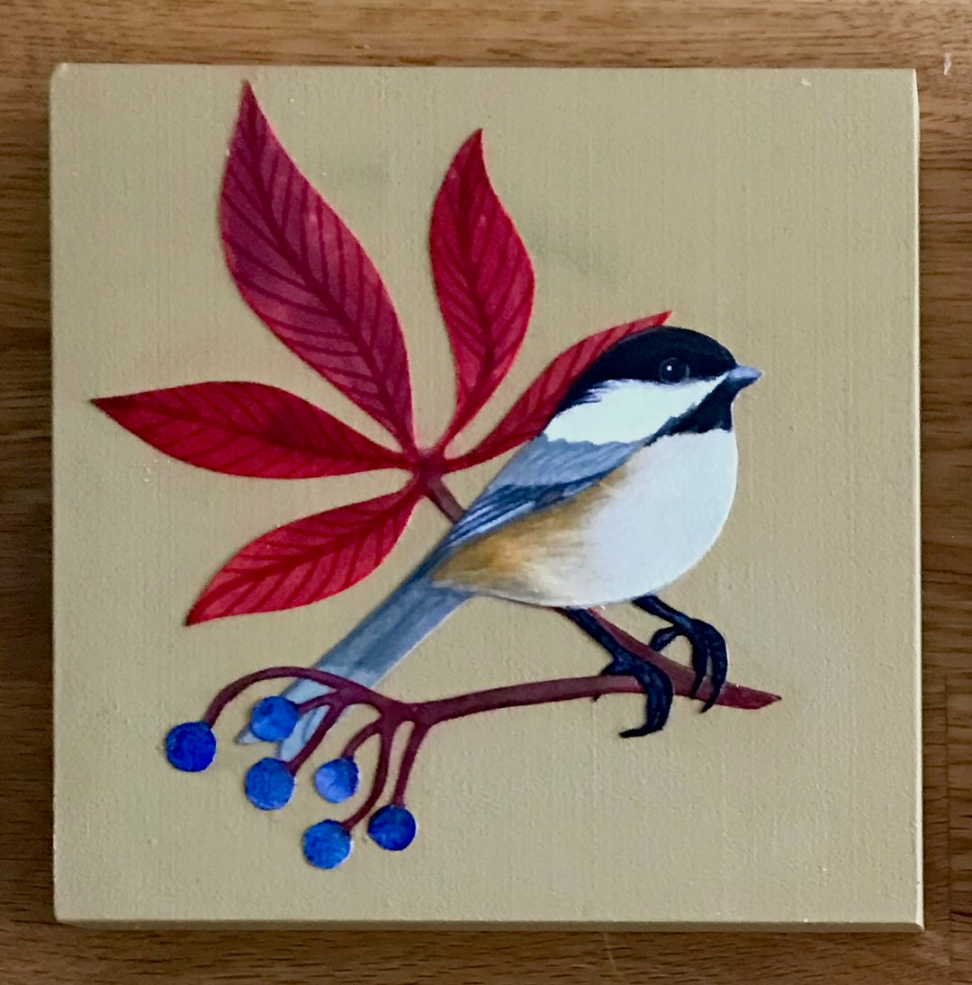 Virginia Creeper Chickadee #1