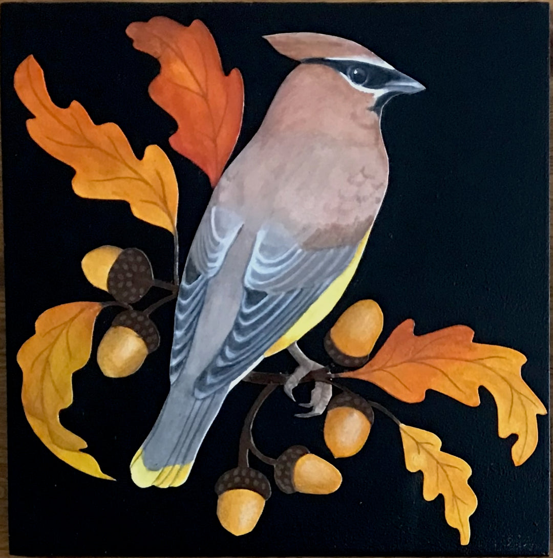 Waxwing in Oak