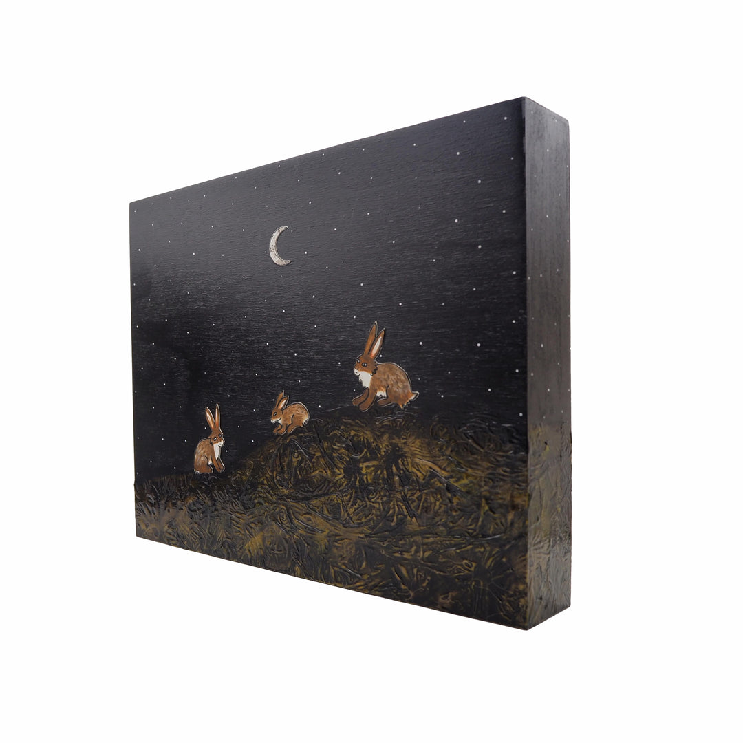 Wild Hare #329