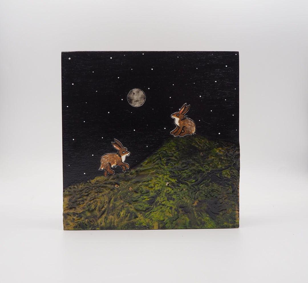 Wild Hare #331