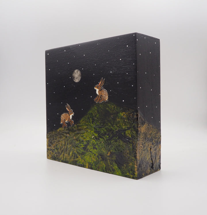 Wild Hare #331