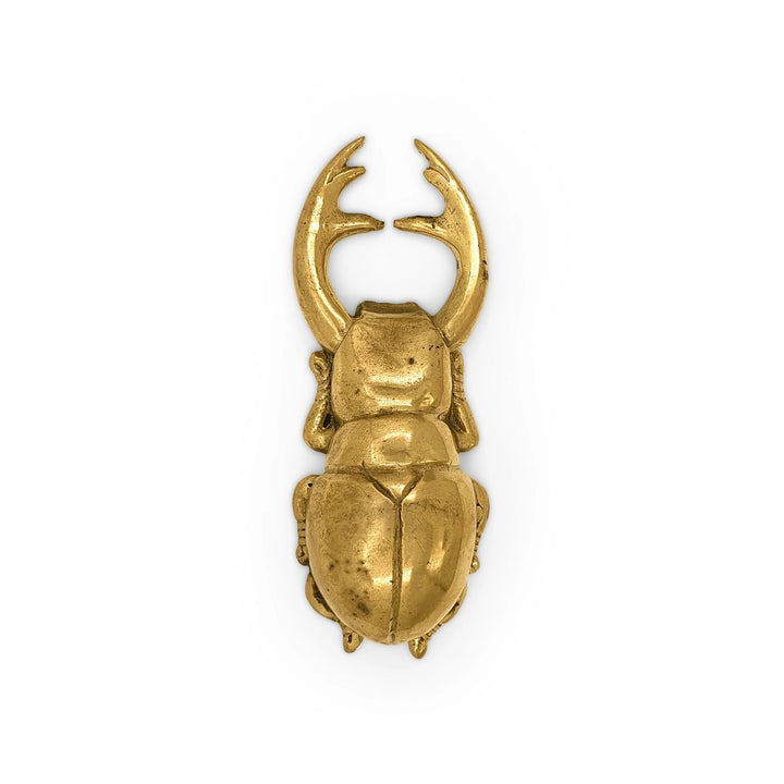 Brass Beetle Bottle Opener