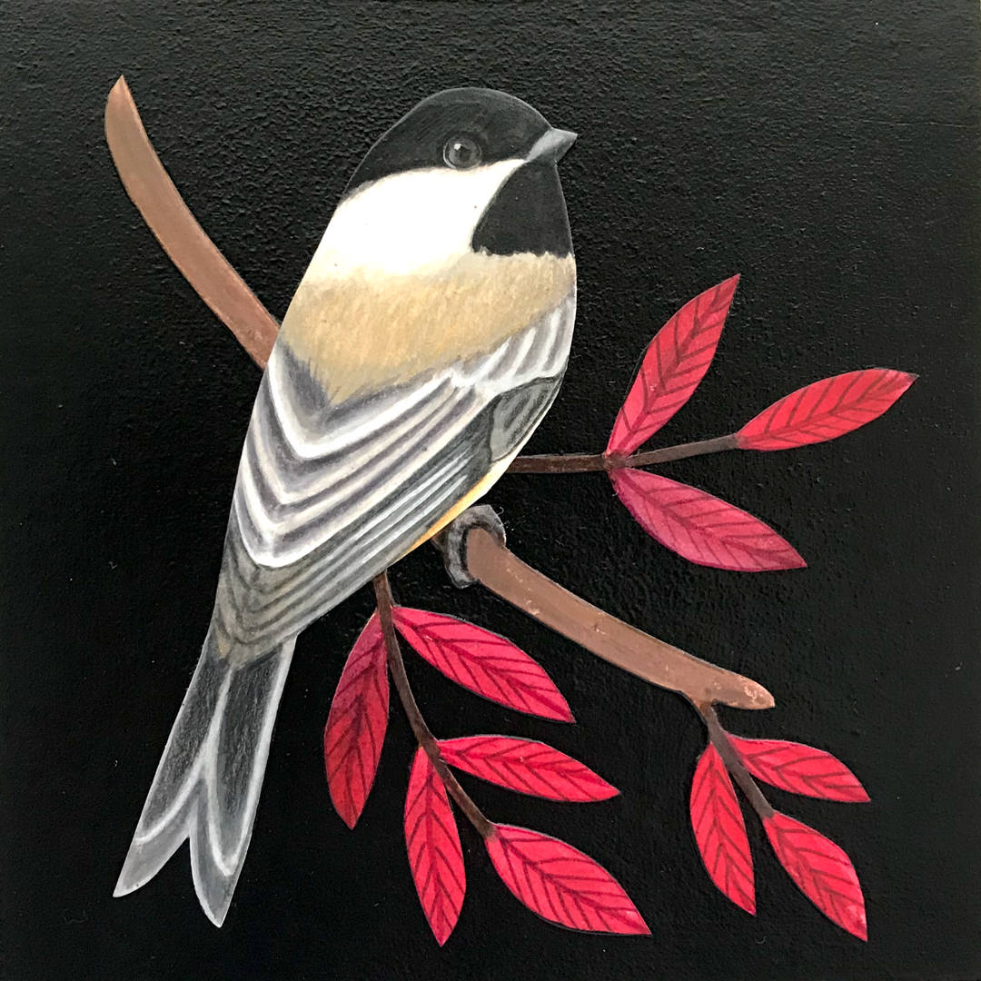 Chickadee in Red 1