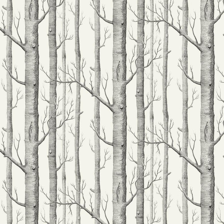 BRAND NEW Cole & Son Woods Stone/White Wallpaper, 11 yard roll