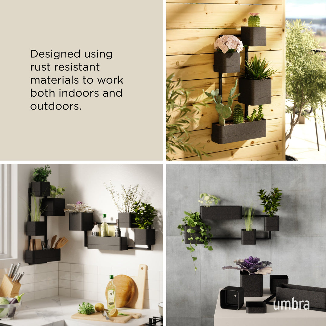 Wall Planters | color: Black