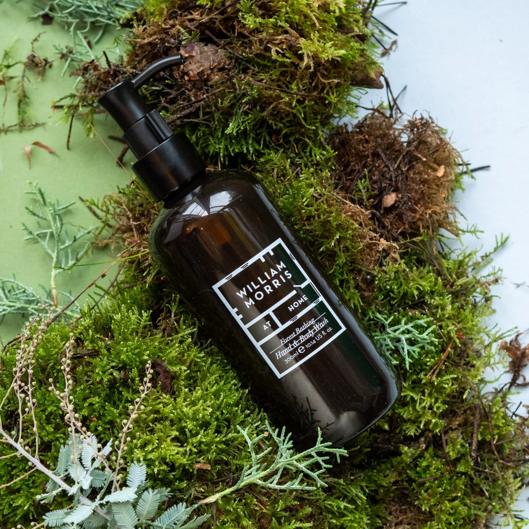 Forest Bathing Hand & Body Wash