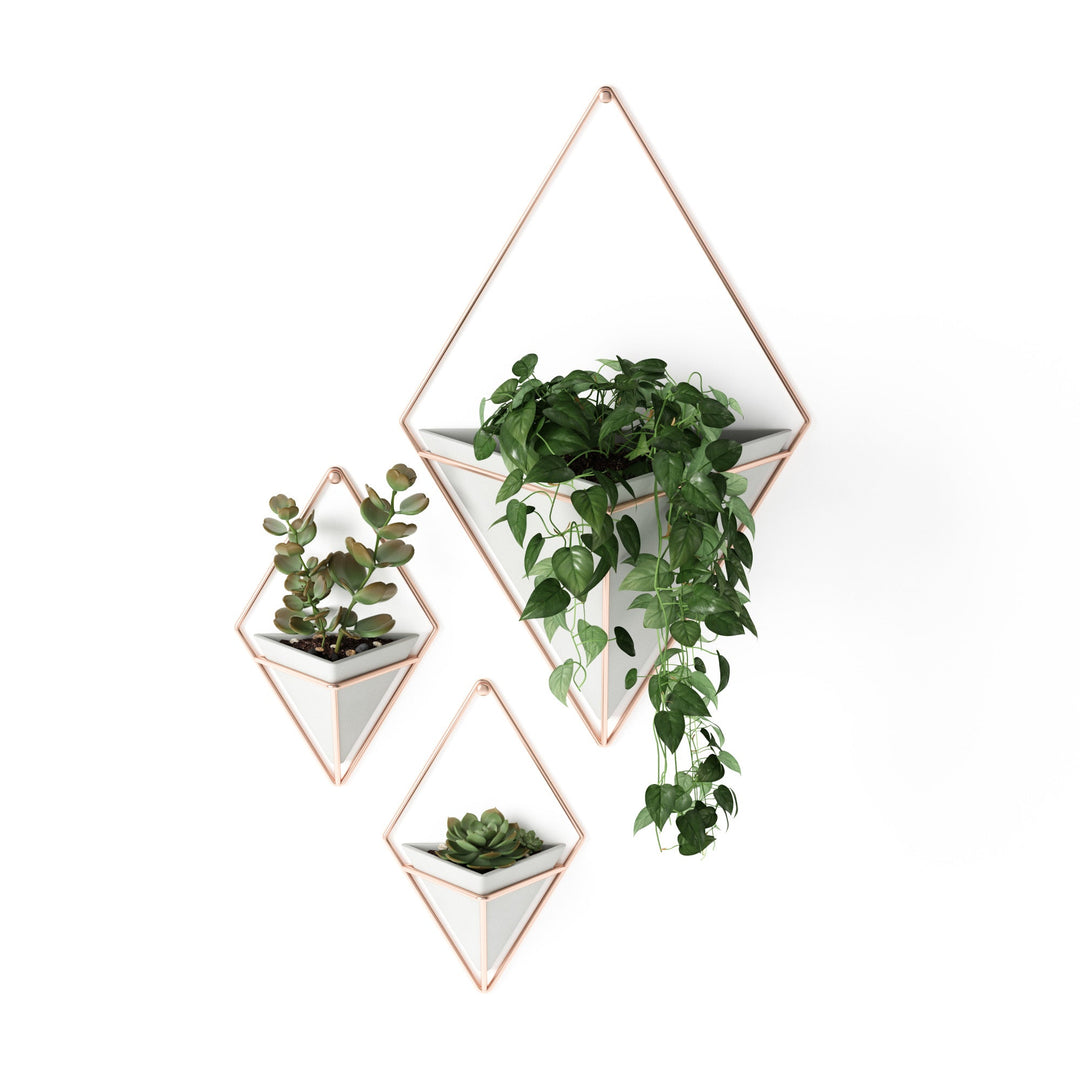 Wall Planters | color: Concrete-Copper