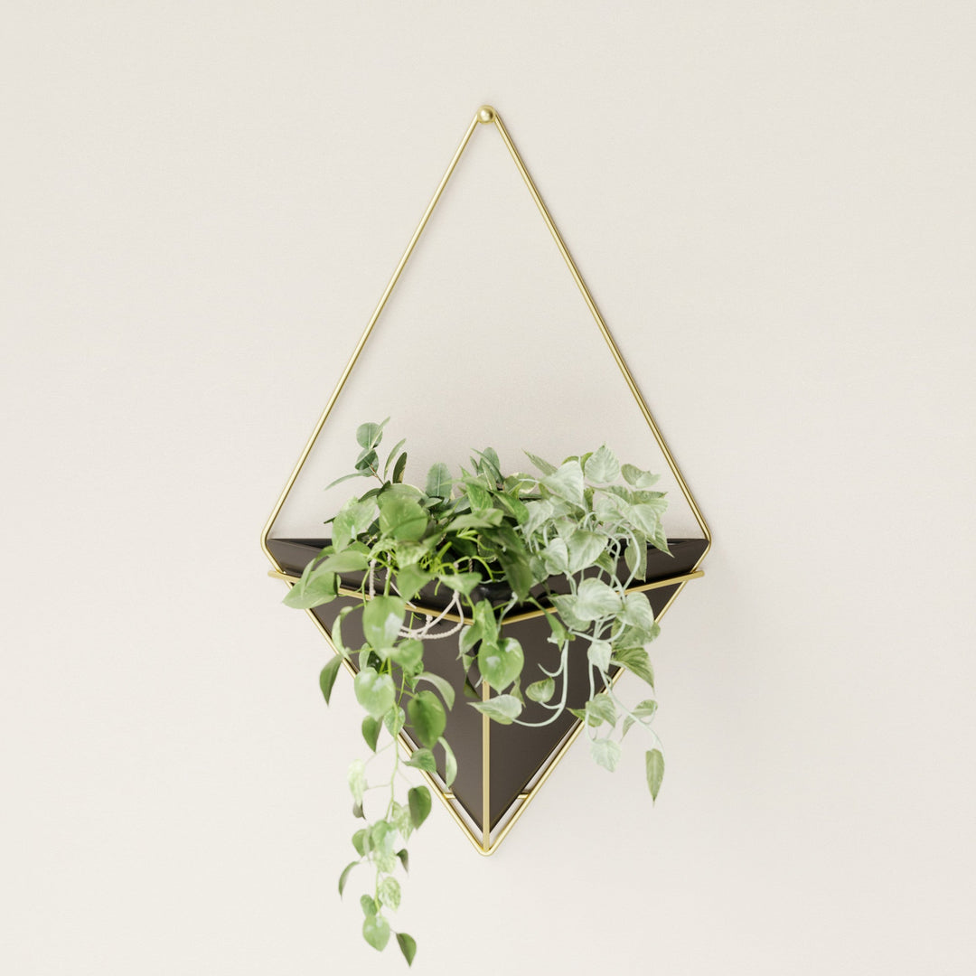 Wall Planters | color: Black-Brass