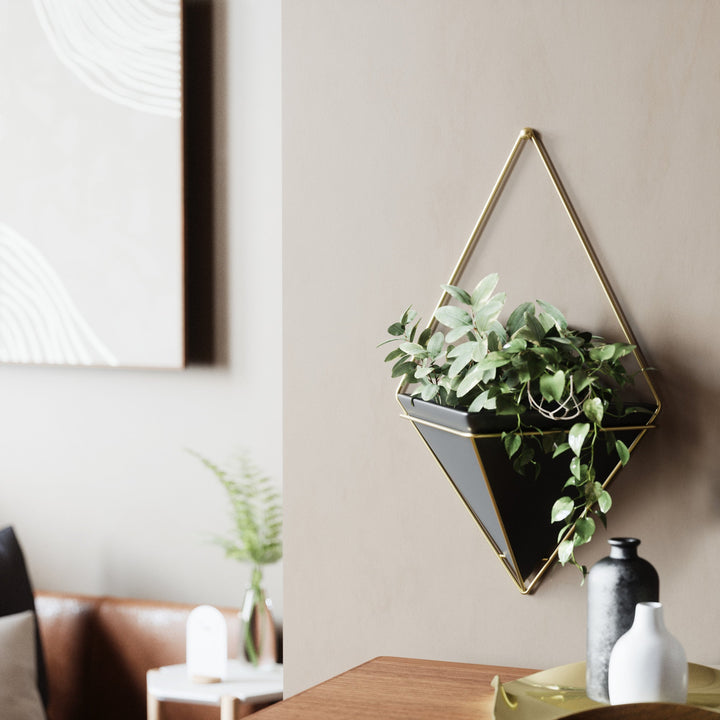 Wall Planters | color: Black-Brass | https://player.vimeo.com/video/176224842