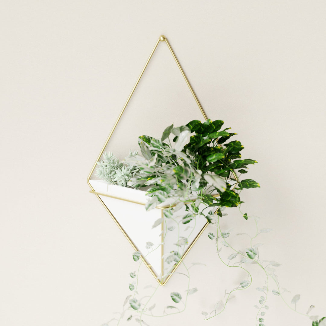 Wall Planters | color: White-Brass