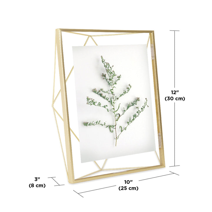 Tabletop Frames | color: Matte-Brass | size: 8x10"""" (20x25 cm)