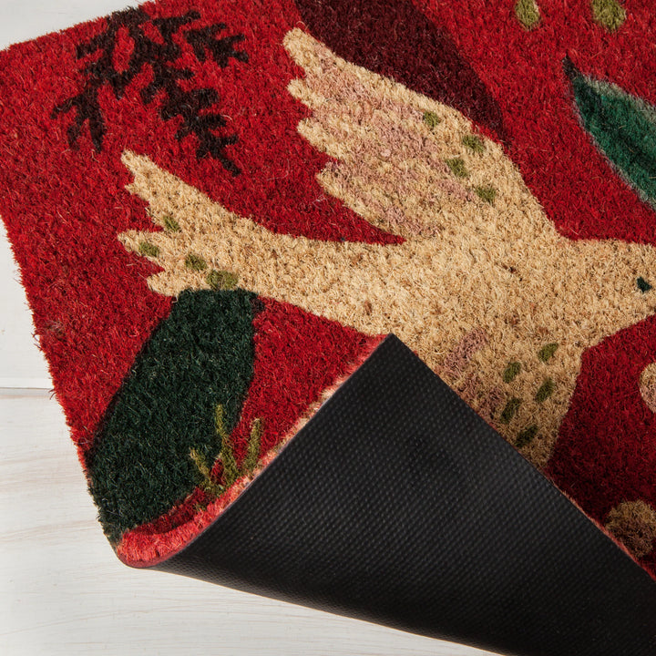 Winterbough Coir Fibre Doormat by Danica