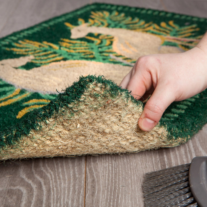 Boundless Coir Doormat by Danica