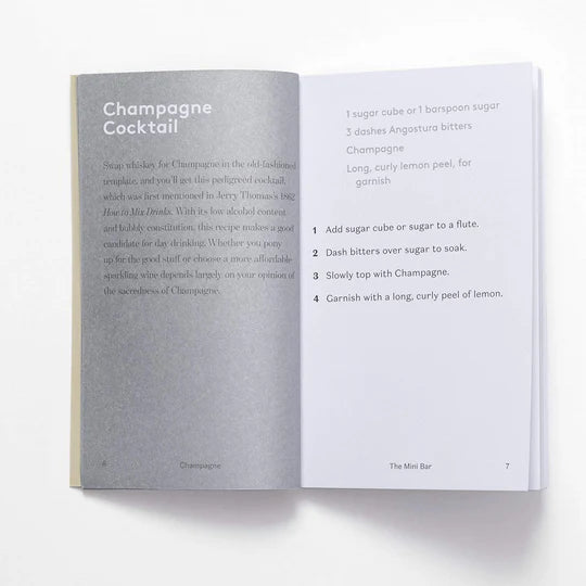 The Mini Bar - 100 Essential Cocktail Recipes
