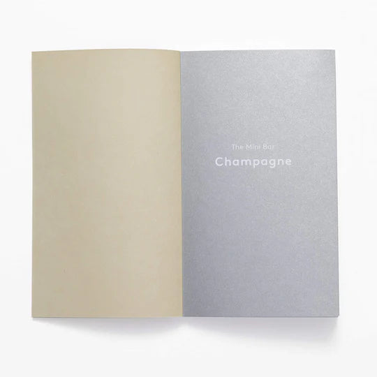 The Mini Bar - 100 Essential Cocktail Recipes