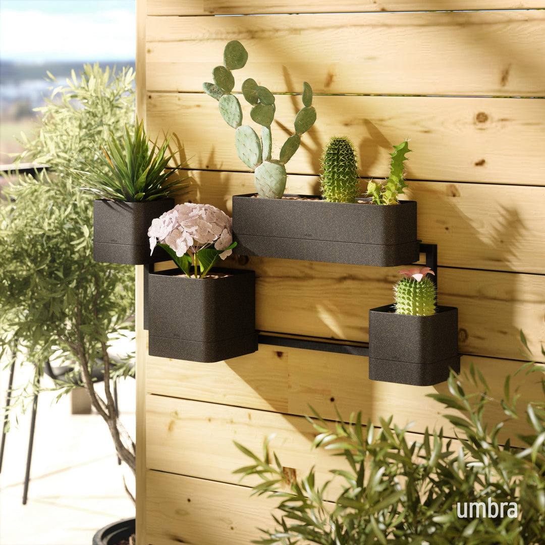 Wall Planters | color: Black