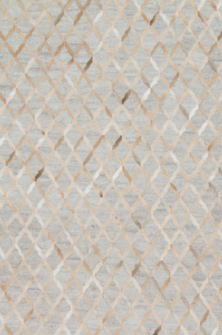 Loloi Dorado Grey / Sand 9'-3" x 13' Area Rug