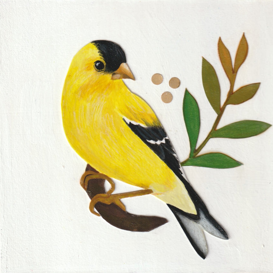Goldfinch #1