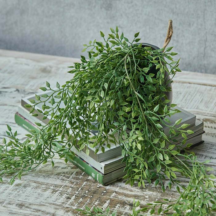 Blossom Trailing Milk Weed in Pot - Artificial Plant