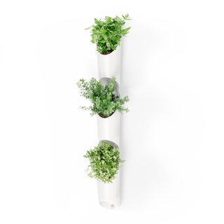 Wall Planters | color: White