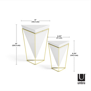 Tabletop Planters | color: White-Brass